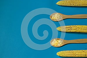 Corn flour on a wooden spoon, fresh corn on a blue background. The concept of the production of products from corn. Top view