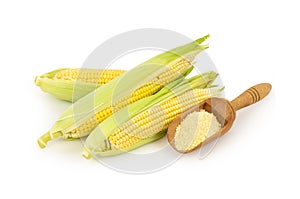 Corn flour in wooden spoon isolated on white background