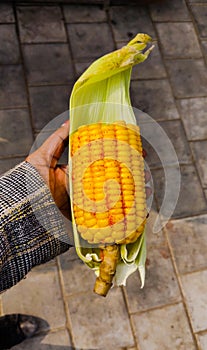 Corn food delicious close up spiced