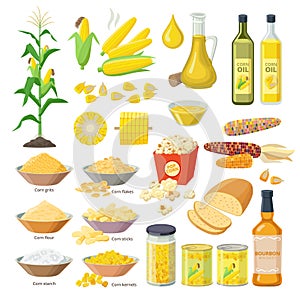 Corn food, set of maize meal, corn oil, corn stickes, cornflakes, pop corn, grits, flour, starch, kernels, plant, bread