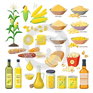 Corn food, set of maize meal, corn oil, corn stickes, cornflakes, pop corn, grits, flour, starch, kernels, plant, bread