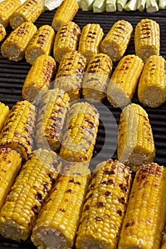 Corn. Fresh organic corn cobs grilling on a barbeque. Grilled corns. Yellow baked corn cobs. Grilled corn background texture. Roas