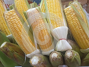 Corn fruit Makanan photo