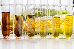 Corn generated ethanol biofuel with test tubes on white backgrou