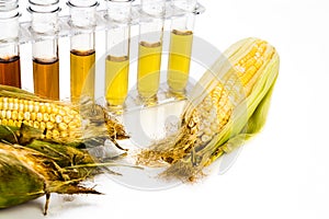 Corn generated ethanol biofuel with test tubes on white backgrou