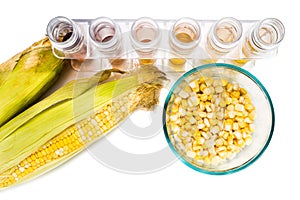 Corn generated ethanol biofuel with test tubes on white backgrou