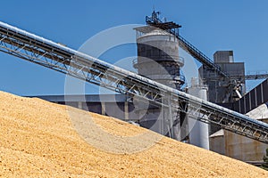 Corn and Grain Handling or Harvesting Terminal. Corn Can be Used for Food, Feed or Ethanol V