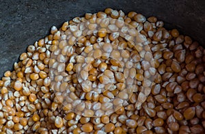 Corn grain in the old cauldron