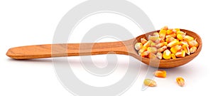 Corn grains in wooden scoop