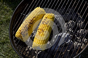 Corn on grill in park