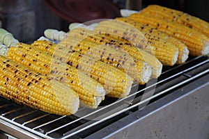 Corn on the grill photo