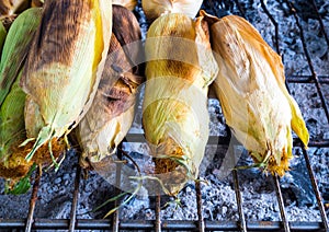 Corn are grilled on grill grates