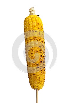 Corn grilled