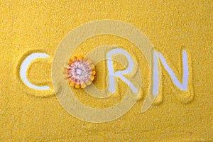Corn grits Concept Inscription corn flour yellow