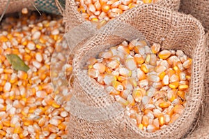 Corn groats and seeds