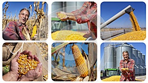 Corn Growing, Harvesting and Storage Photo Collage