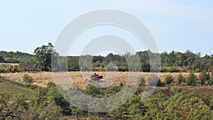 Corn harvest