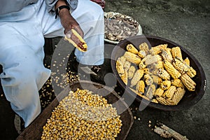 Corn Harvest In The Andes