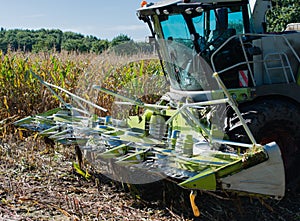 Corn harvest, corn forage harvester in action, harvest truck with tractor