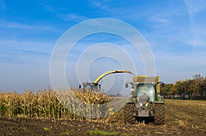 Corn harvester in the Corn crop for the agricultural sector