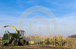 Corn harvester in the Corn field