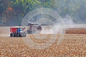 Corn harvesting