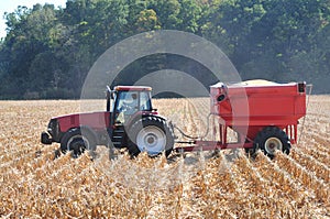 Corn harvesting
