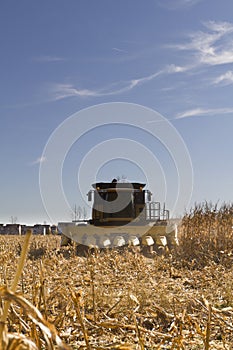 Corn Harvesting