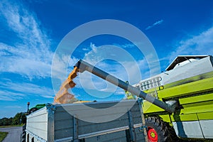 Corn harvesting machines when unloading_Baden Baden_Southern Germany