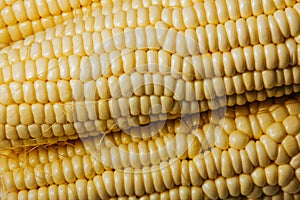 Corn is the highest yield crop in the world
