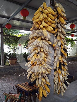 The corn hung on the cement column