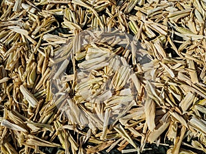 Corn husks