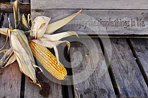 Corn husks, with enjoy life quote