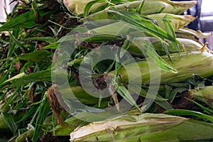 Corn Husks For Sale at a Farmer`s Market photo