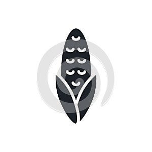 Corn icon. Black isolated silhouette. Fill solid icon. Modern design. Vector illustration. Vegetables.