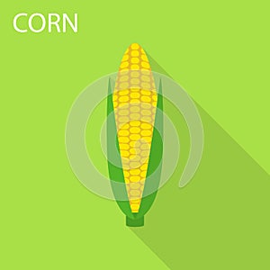 Corn icon, flat style