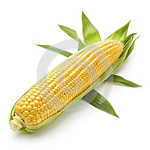 Corn Icon Illustration Isolated on White Background