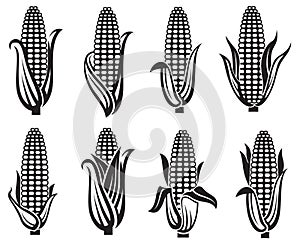 Corn images set