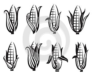 Corn images set