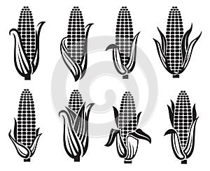 Corn images set