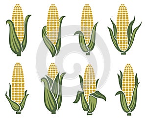 Corn images set