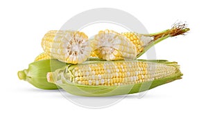 corn isolated on white