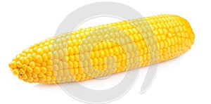 Corn isolated