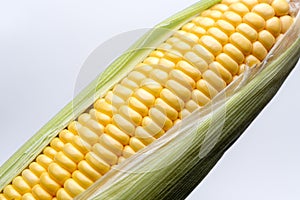 Corn isolated on white background, closeup top view.