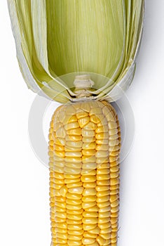 Corn isolated on white background, closeup top view.