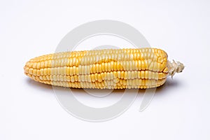Corn isolated on white background, closeup top view.
