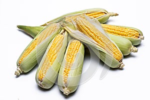 Corn isolated on white background, closeup top view.