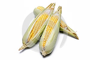 Corn isolated on white background, closeup top view.