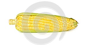 Corn isolated on white background