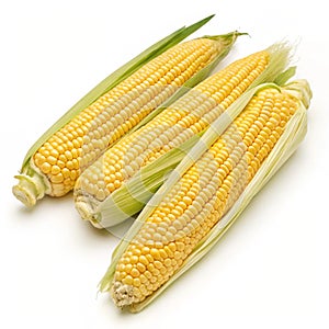 Corn isolated on white background